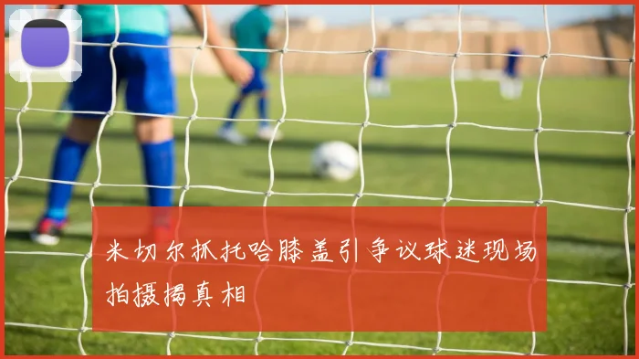米切尔抓托哈膝盖引争议球迷现场拍摄揭真相